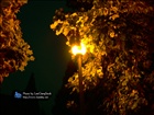 dailyPhoto20